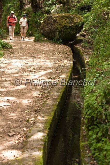 madere 37.JPG - Randonneurs près des Levadas (canaux d'irrigation), Ribeiro frio, Madère, Portugal